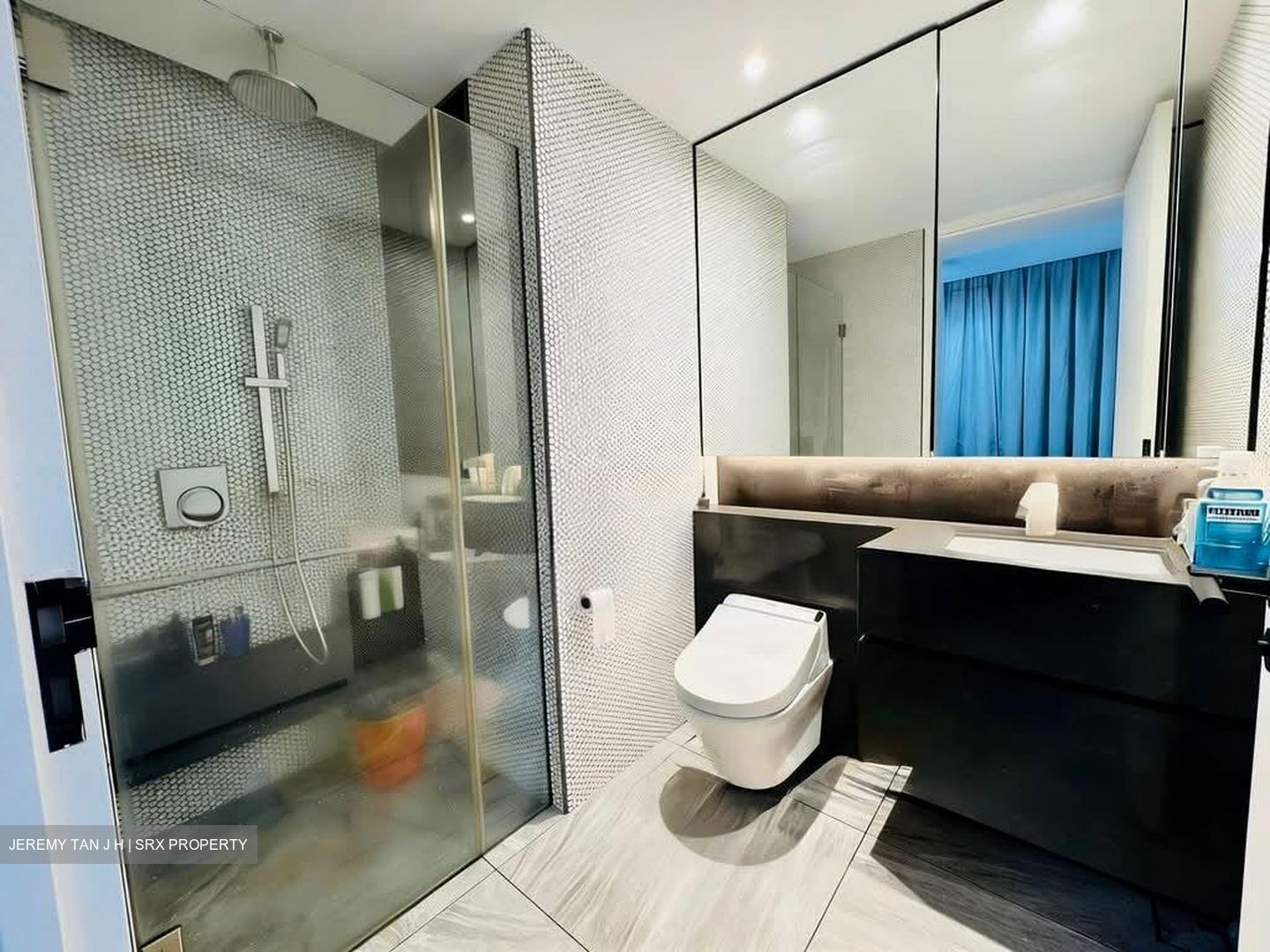 10 Evelyn (D11), Apartment #547334451
